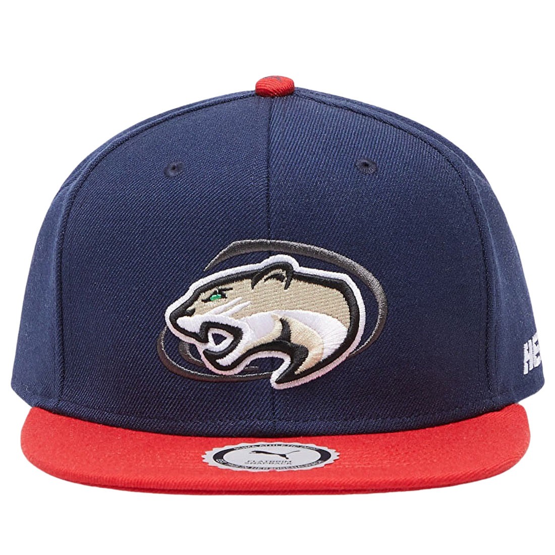 Puma x Hometown Heroes Basketball Flat Brim Cap (blue)
