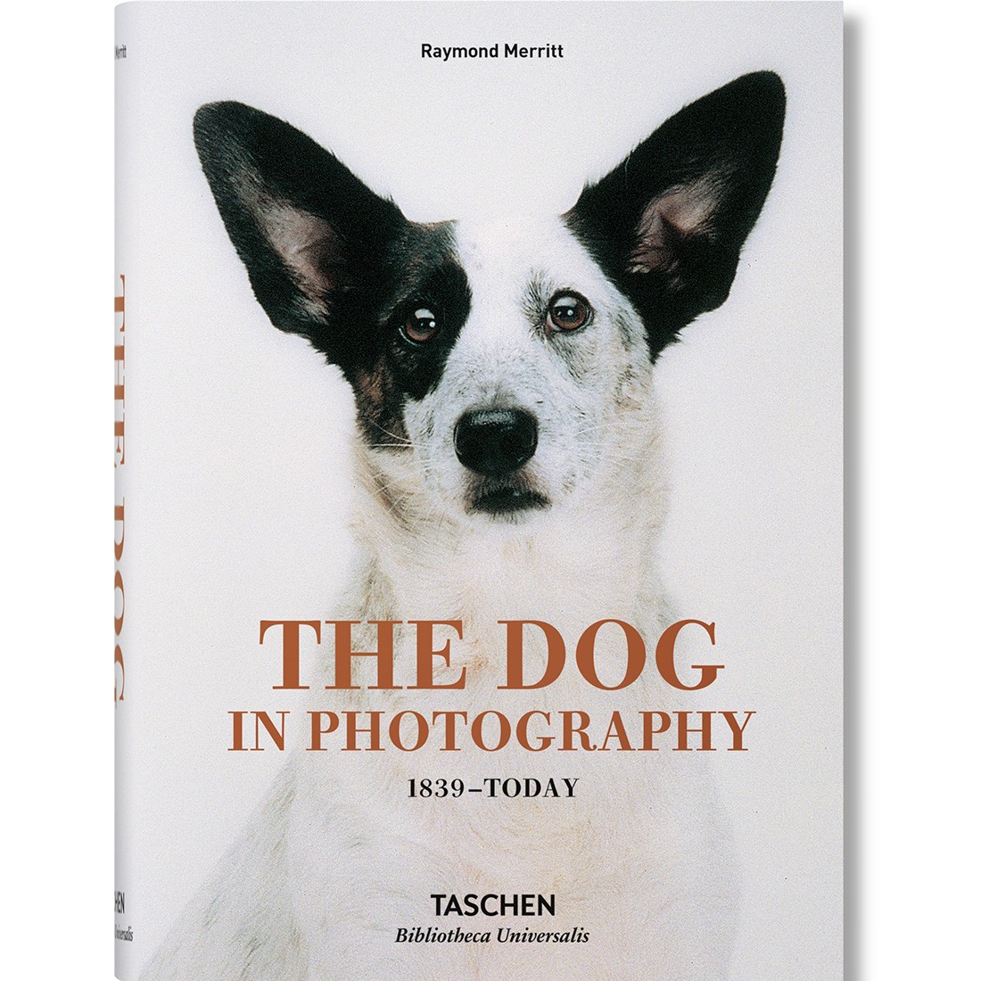 The Dog In Photography 1839-Today By Raymond Merritt Book (white / hardcover)