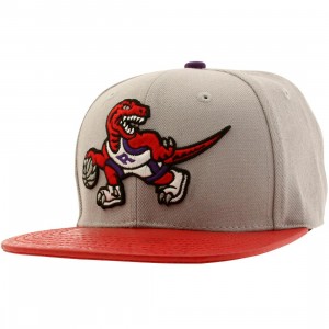 Pro Standard NBA Toronto Raptors Raptor Logo Adjustable Cap (gray / red)