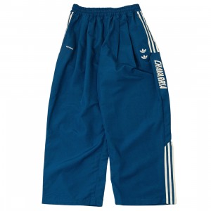 Adidas Men Woven Track Pants (blue / dmarin)