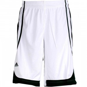 Adidas Pro Team Shorts (white / forest)