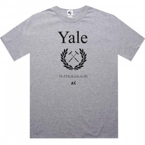 Akomplice Yale Tee (heather grey)