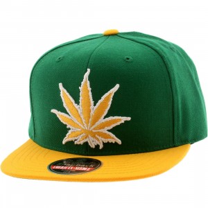 American Needle Experience Washington Legalized Cap (green / gold)