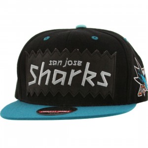 BAIT x NHL x American Needle San Jose Sharks NHL Retro Snapback Cap (black / turquoise)