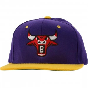 BAIT Bull Snapback Cap (purple / gold / red)