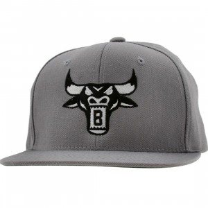 BAIT Bull Snapback Cap (silver / black)