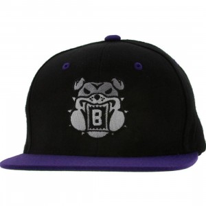 BAIT Bulldog Snapback Cap (black / purple / grey)