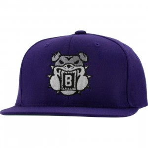 BAIT Bulldog Snapback Cap (purple / grey)