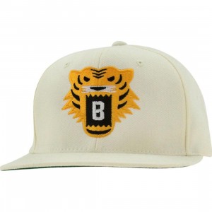 BAIT Tiger Snapback Cap (natural / yellow)