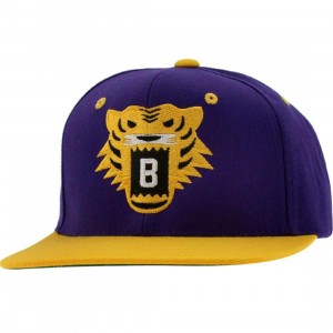 BAIT Tiger Snapback Cap (purple / gold / yellow)