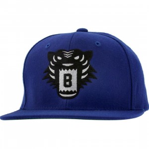 BAIT Tiger Snapback Cap (royal / black)