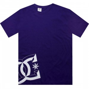 DC D Star Tee (purple)