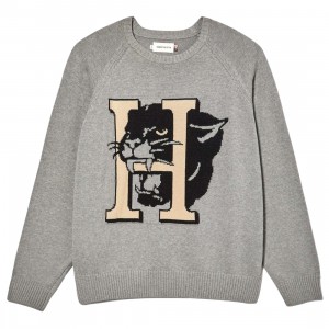 Honor The Gift Men Mascot Sweater (gray)