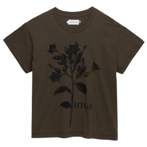 Honor The Gift Women Tobacco Flower Short Sleeve Tee (olive)