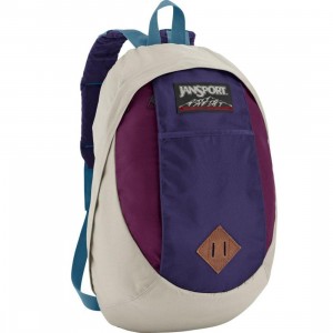 JanSport Tenaya Backpack (light french grey / purple pizazz)