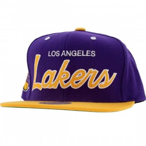 Mitchell And Ness Los Angeles Lakers 2 Tone Snapback Cap (purple / yellow)
