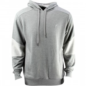 Publish Frost Hoody (gray / heather)