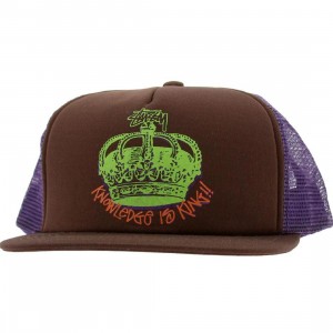 Stussy Knowledge Crown Snapback Cap (brown)