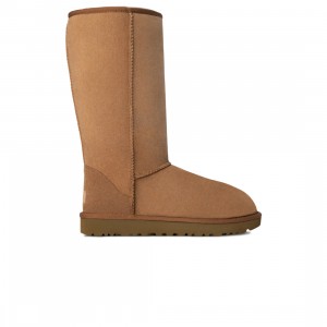 UGG Women Classic Tall II (brown / chestnut)