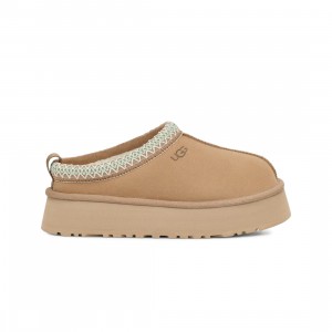 UGG Women Tazz Slipper (white / sand)