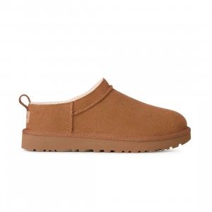 UGG Women Classic Micro (brown / chestnut)