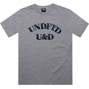 Undefeated U And D Tee (heather grey)
