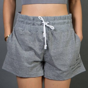 Stussy Women 80 17 Gym Shorts (gray / heather)