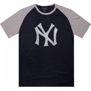 Wright And Ditson New York Yankees Paratrooper Tee (navy / grey)