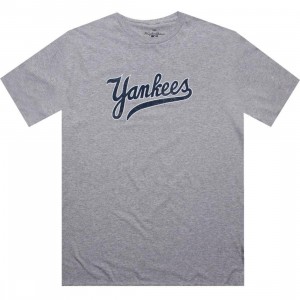 Wright And Ditson New York Yankees Model D Tee (heather grey)